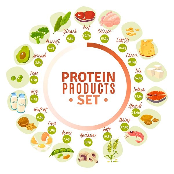 protein in pregnancy