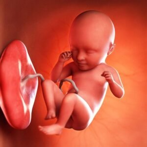 pregnancy, millet, ragi, placenta health